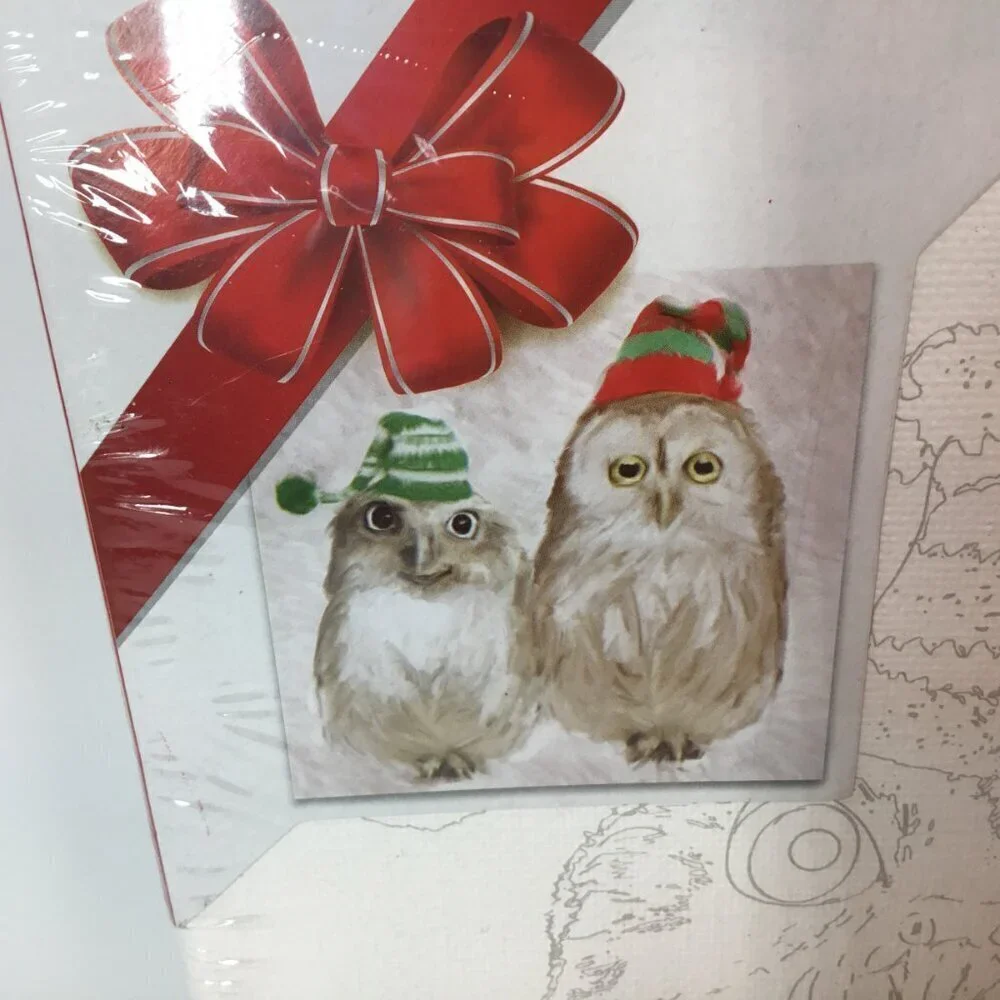Paint by Number Kit NEW Artist's Loft PBN Owl Owls Canvas Acrylic Tubes Brushes